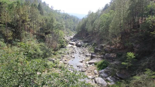 चाल खावों को संवारने को तैयार हुए कई गांव।