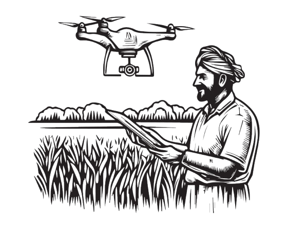 Rural Transformation